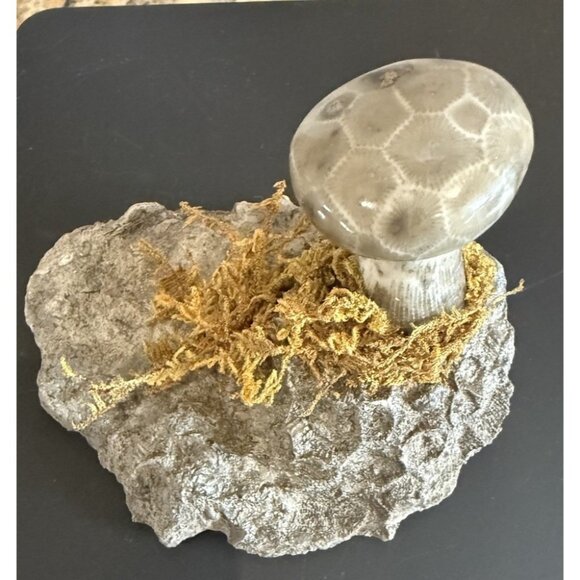 Petoskey Stone Polished Mushroom On A Base Handmade - Picture 1 of 7
